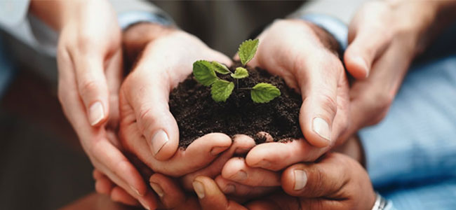 Corporate Social Responsibility